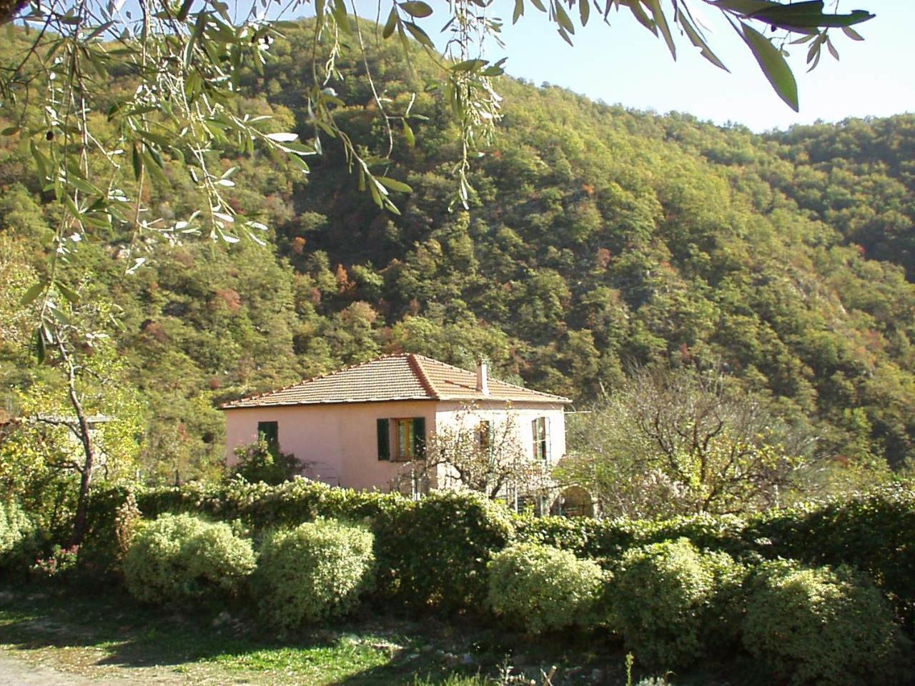Borgata Castello * Chiusanico