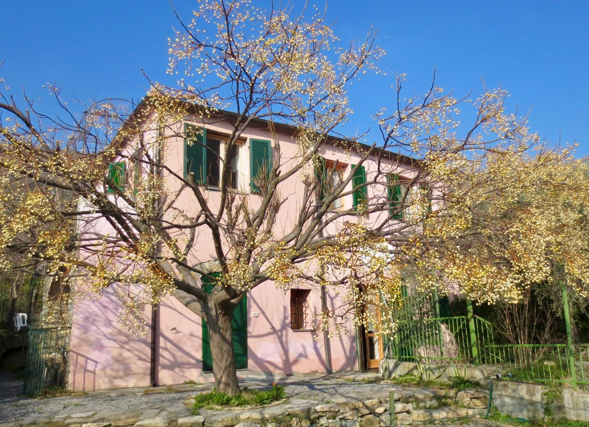 Apartment Borgata Castello Chiusanico